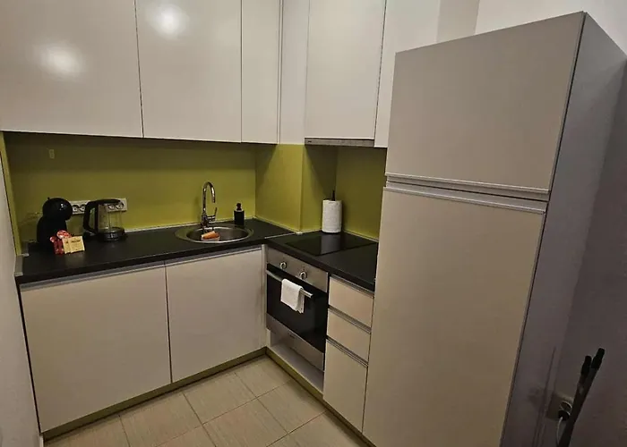 Charming Borovets Gardens D16